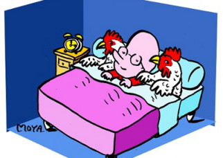 To go to bed with the lamb (