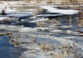 Spring thaw, reading comprehension