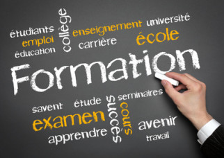 The informatic diploma: B2i and C2i