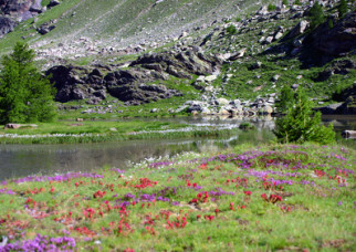 Discover the Valley of Wonders