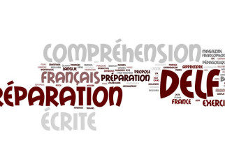 DELF A1: Written production