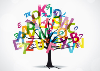 A grammatical lesson on the pronoun