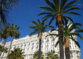 The Cannes Film Festival