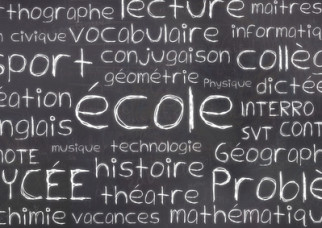 The future simple in the indicative form