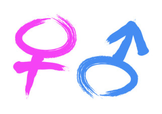 Common nouns gender- A0