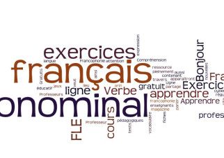 Pronominal verbs in French
