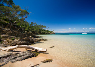 Porquerolles island