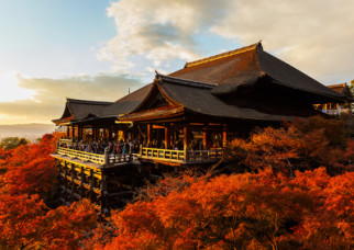 French in the Land of the Rising Sun, level C1