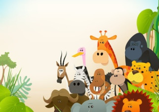 Vocabulary: comparisons