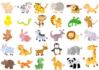 Vocabulary: animal names in French