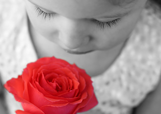 FLE class activity: awakening French through the senses...  'the sense of smell'