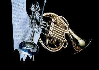 Maîtriser les homophones lexicaux pour se faire comprendre.