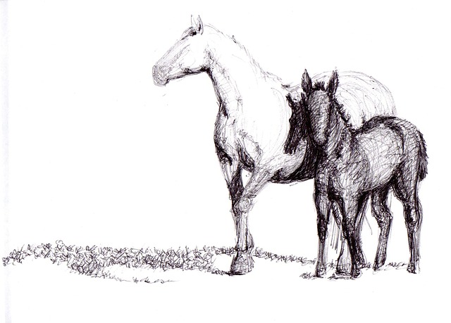 Un dessin